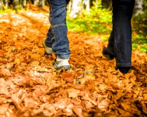 Paseos en otoño